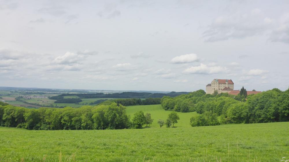 post-1325-0-30721700-1434468277_thumb.jp