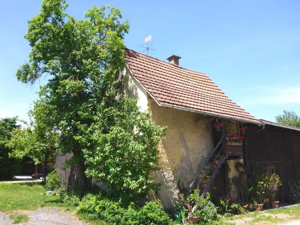 post-1325-0-33558000-1434969265_thumb.jp