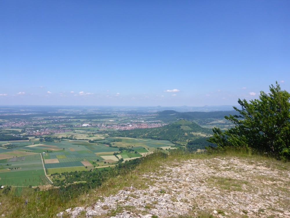 post-1325-0-34489300-1434722539_thumb.jp