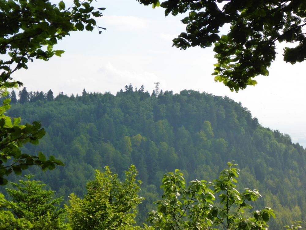 post-1325-0-34773500-1434917525_thumb.jp