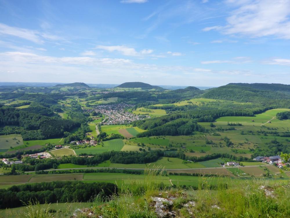 post-1325-0-35772600-1434575040_thumb.jp