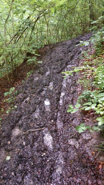 post-1325-0-36197000-1434830692_thumb.jp