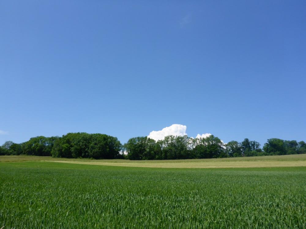 post-1325-0-36257400-1434803931_thumb.jp