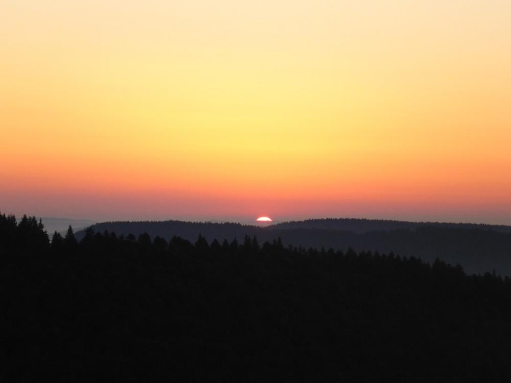 post-1325-0-37182300-1434968500_thumb.jp