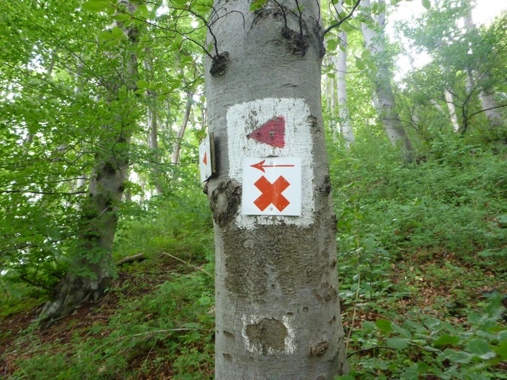 post-1325-0-37884400-1434649815_thumb.jp