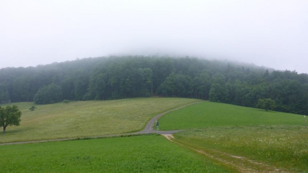 post-1325-0-38302000-1434830697_thumb.jp