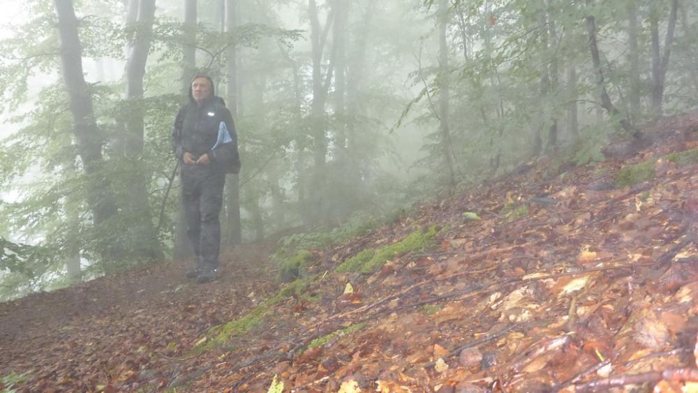 post-1325-0-38562400-1434822183_thumb.jp