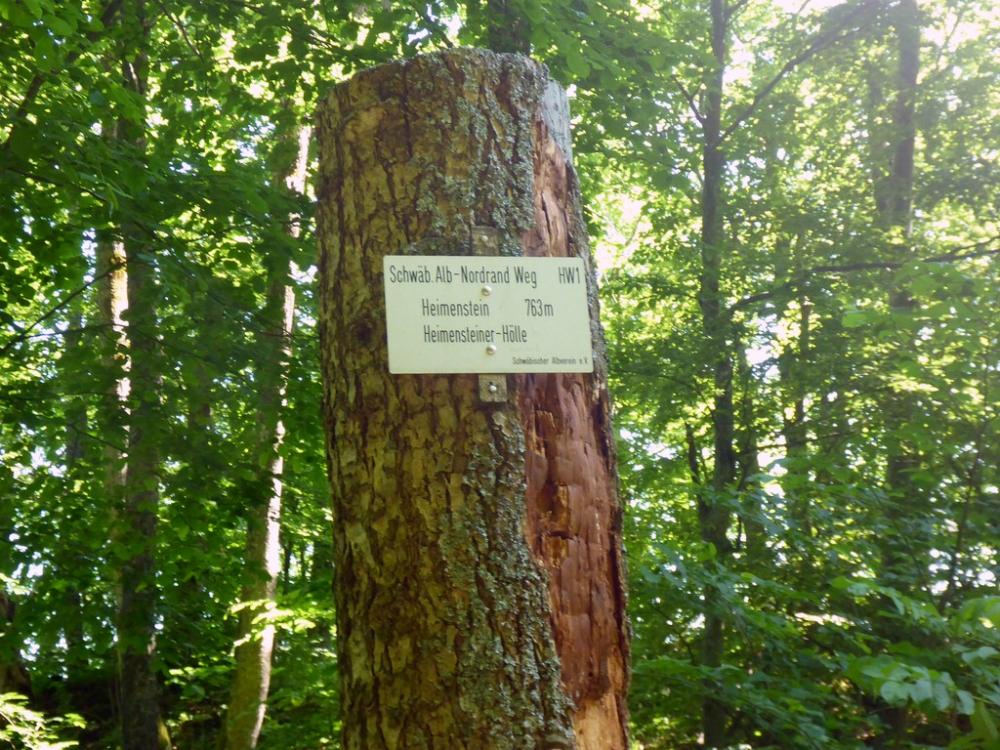 post-1325-0-40110800-1434722155_thumb.jp