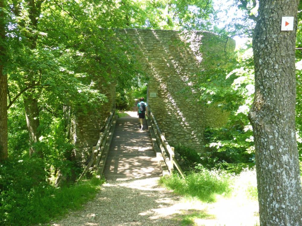 post-1325-0-40327500-1434723004_thumb.jp