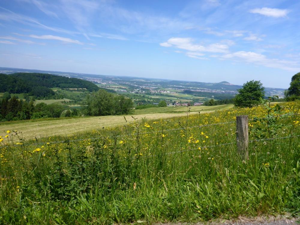 post-1325-0-42417700-1434651495_thumb.jp