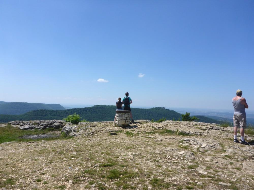 post-1325-0-44338300-1434722883_thumb.jp