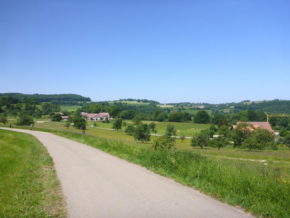 post-1325-0-46485000-1434722257_thumb.jp