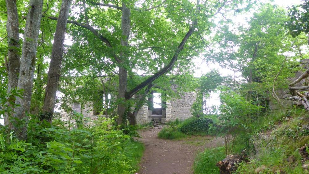 post-1325-0-47270500-1434573487_thumb.jp