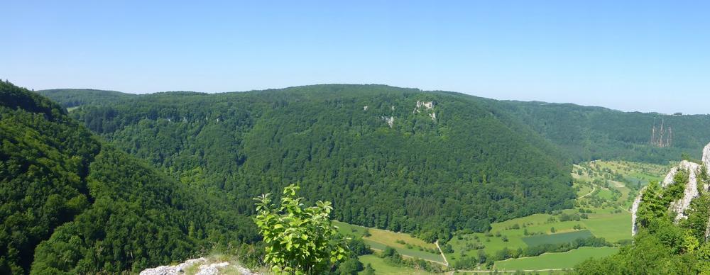 post-1325-0-49326900-1434721788_thumb.jp