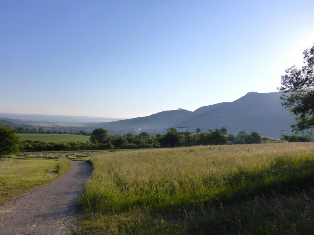 post-1325-0-50663400-1434746676_thumb.jp