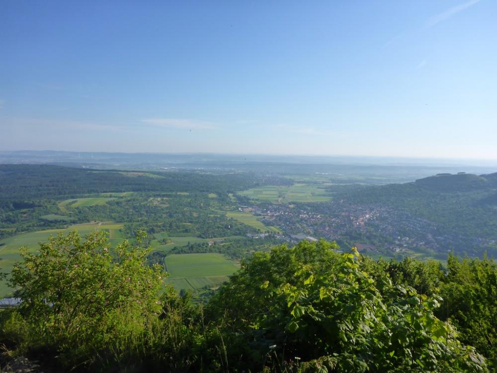 post-1325-0-52329700-1434746904_thumb.jp