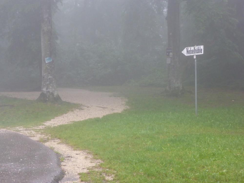 post-1325-0-53329800-1434822189_thumb.jp