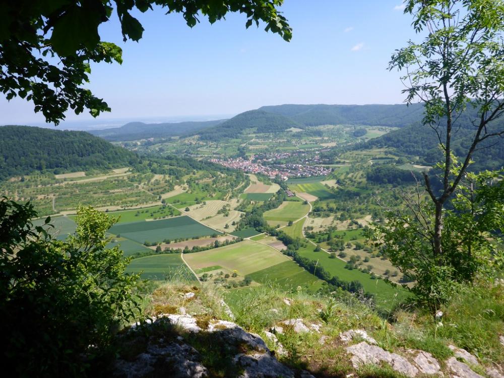 post-1325-0-54181900-1434722002_thumb.jp