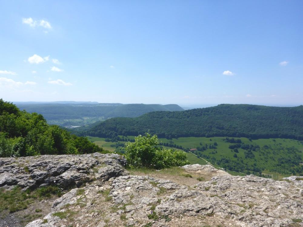 post-1325-0-54822400-1434722881_thumb.jp