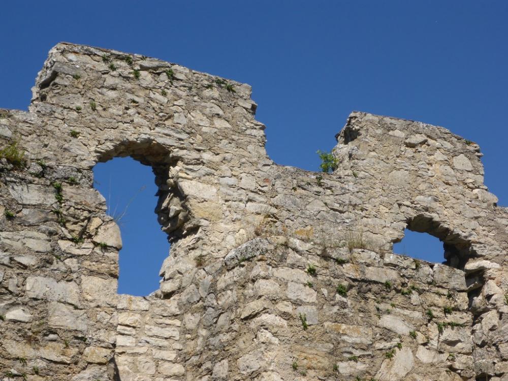 post-1325-0-54906700-1434747466_thumb.jp