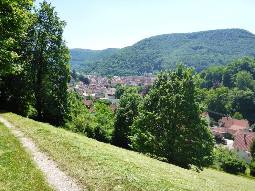 post-1325-0-55718700-1434748036_thumb.jp