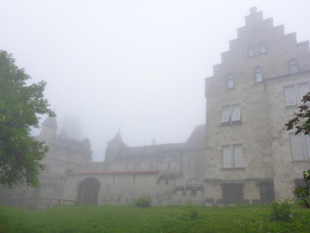 post-1325-0-56572500-1434822185_thumb.jp