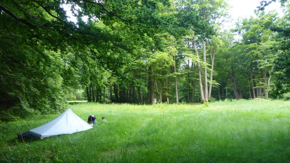 post-1325-0-57248800-1434532897_thumb.jp