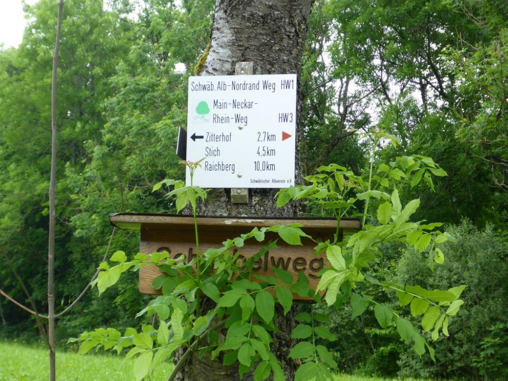 post-1325-0-57285900-1434901769_thumb.jp