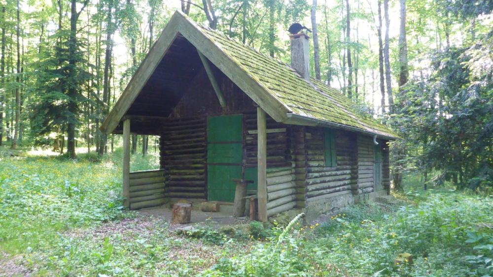 post-1325-0-57716200-1434532902_thumb.jp