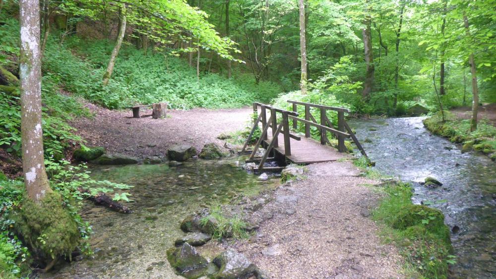 post-1325-0-58030300-1434531220_thumb.jp