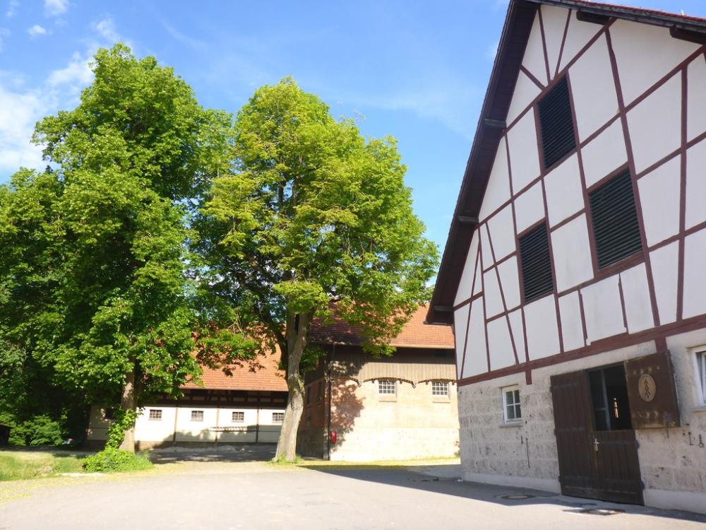 post-1325-0-63144300-1434802672_thumb.jp