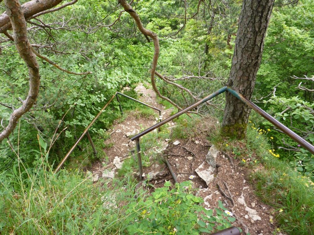 post-1325-0-63695500-1434916941_thumb.jp