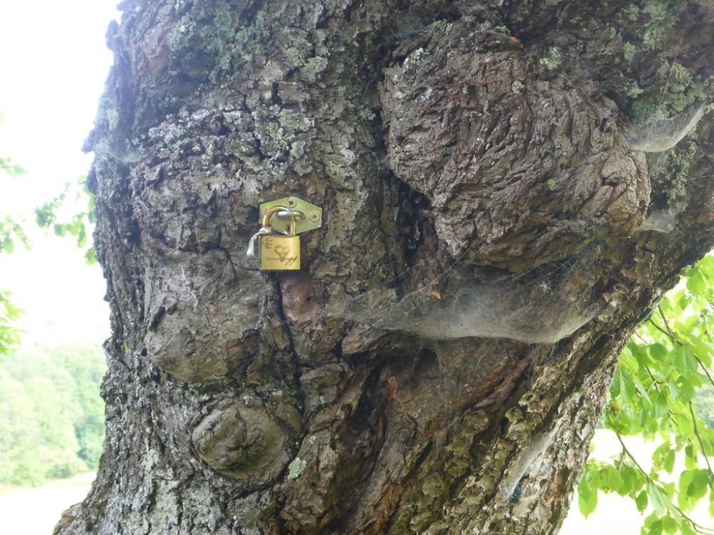 post-1325-0-64606200-1434649873_thumb.jp