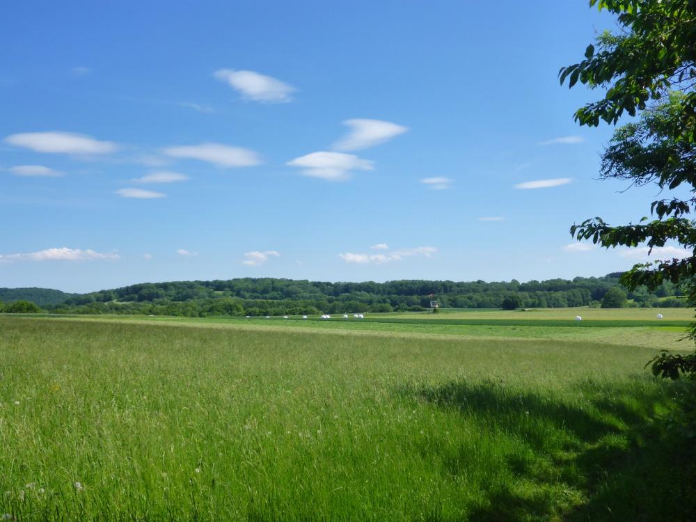 post-1325-0-66714700-1434651491_thumb.jp