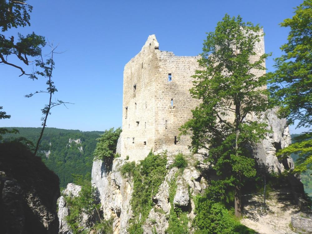 post-1325-0-67749000-1434721783_thumb.jp