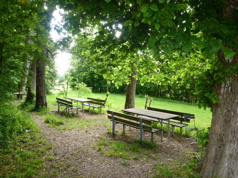 post-1325-0-69171800-1434748890_thumb.jp