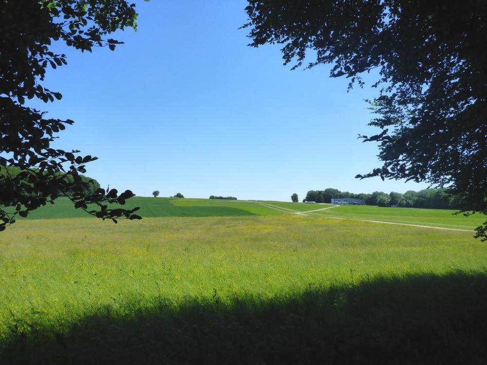 post-1325-0-70899100-1434747863_thumb.jp