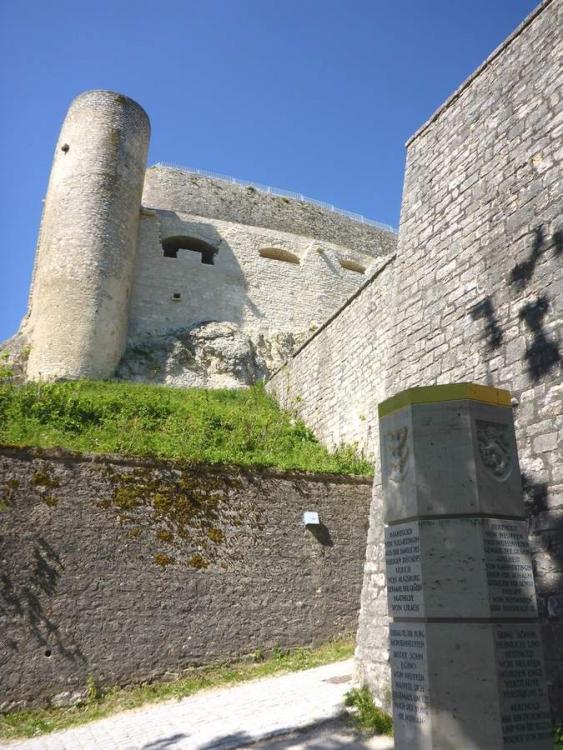 post-1325-0-71392300-1434747045_thumb.jp