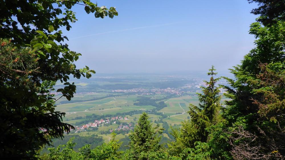 post-1325-0-72315500-1434915993_thumb.jp