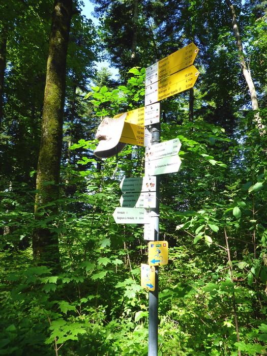 post-1325-0-75964700-1434969075_thumb.jp