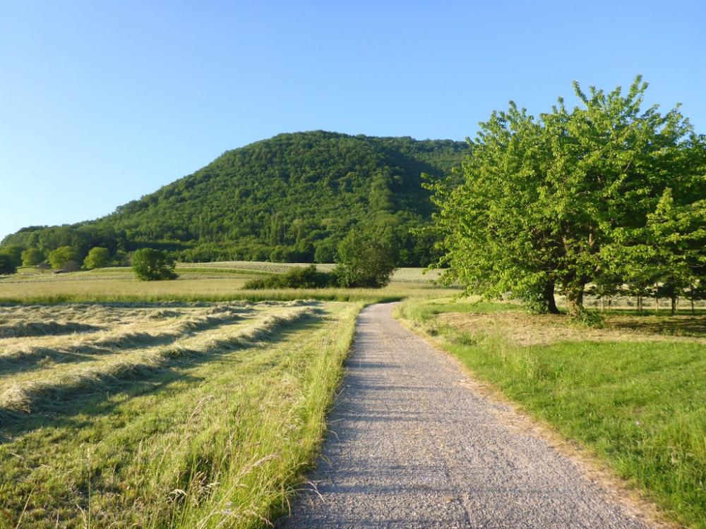 post-1325-0-76493900-1434746678_thumb.jp