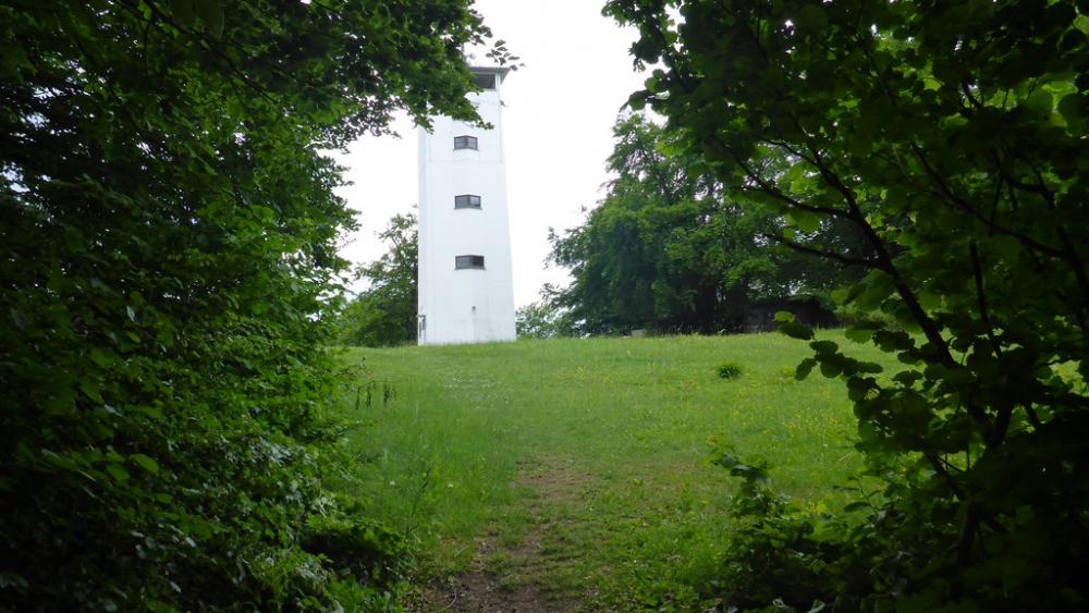 post-1325-0-77169400-1434532094_thumb.jp