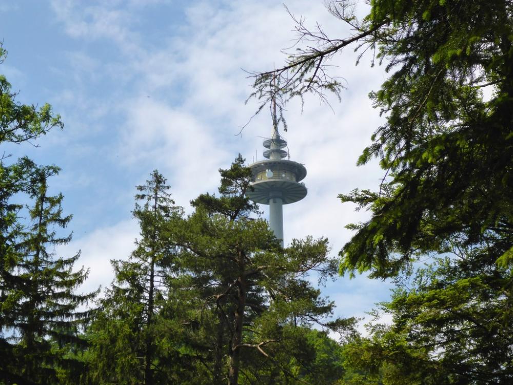 post-1325-0-79606800-1434916756_thumb.jp