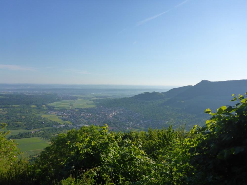 post-1325-0-82013300-1434746839_thumb.jp