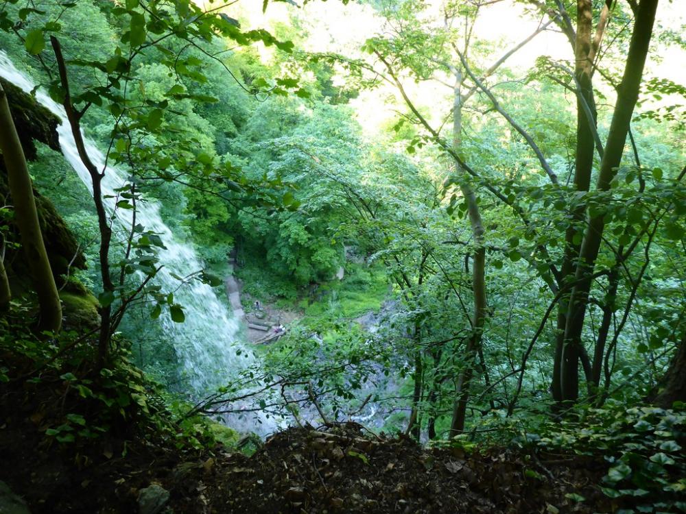 post-1325-0-84109400-1434748318_thumb.jp