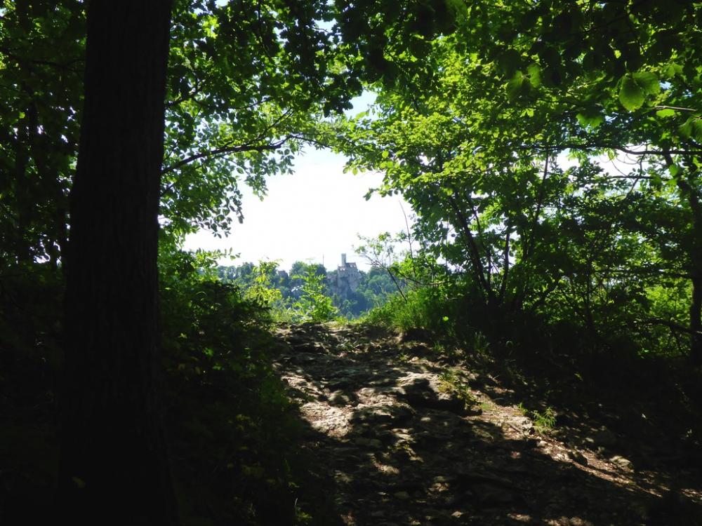 post-1325-0-84540700-1434804219_thumb.jp