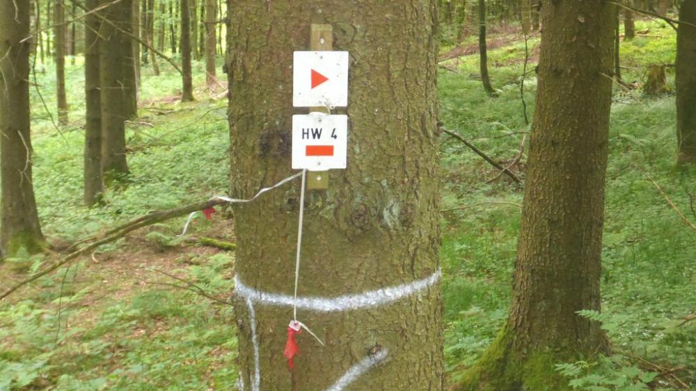 post-1325-0-87463800-1434531040_thumb.jp