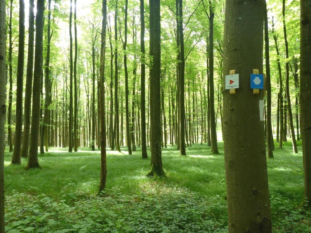 post-1325-0-88248500-1434574501_thumb.jp