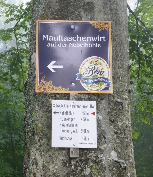 post-1325-0-89206200-1434822187_thumb.jp