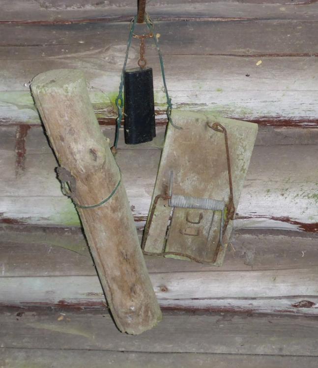 post-1325-0-92449600-1434532903_thumb.jp